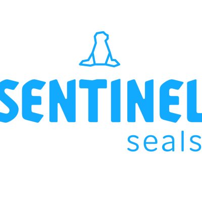 Sentinel Fork Seals